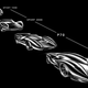 Image for article titled Scuderia Cameron Glickenhaus Is Pissed About the De Tomaso P72